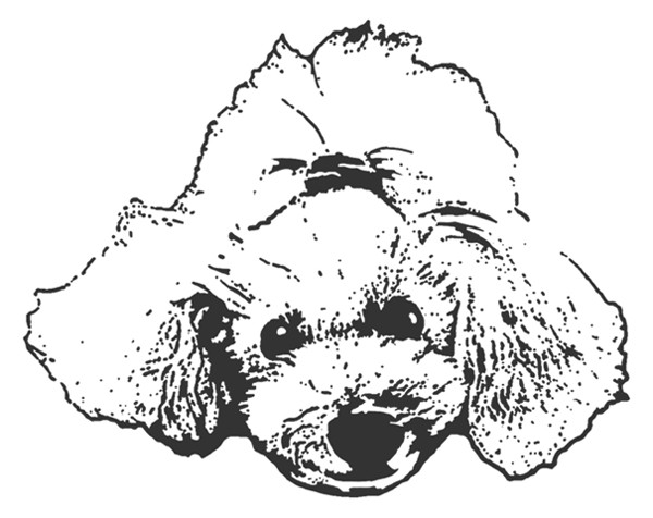 Peace Dogs furifuri