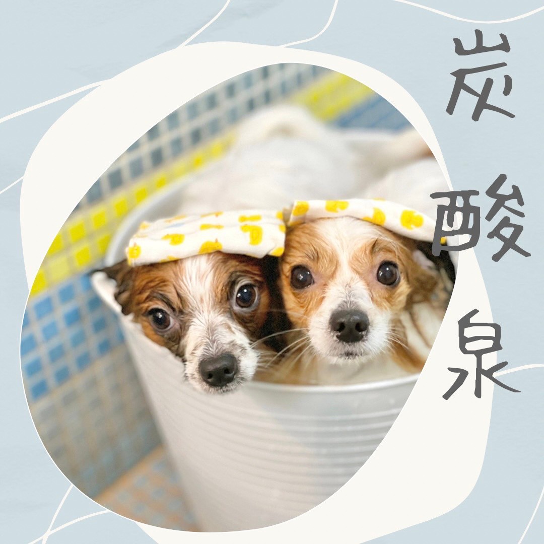 炭酸泉